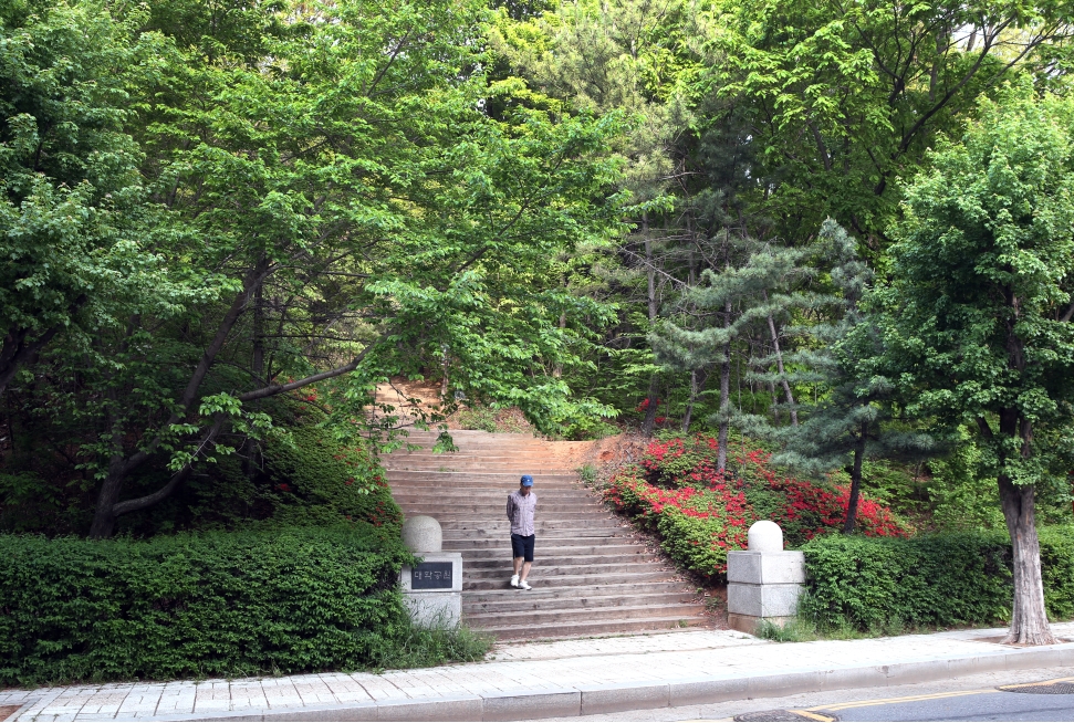 연수구, 원도심 첫 반려동물 놀이터 만든다.